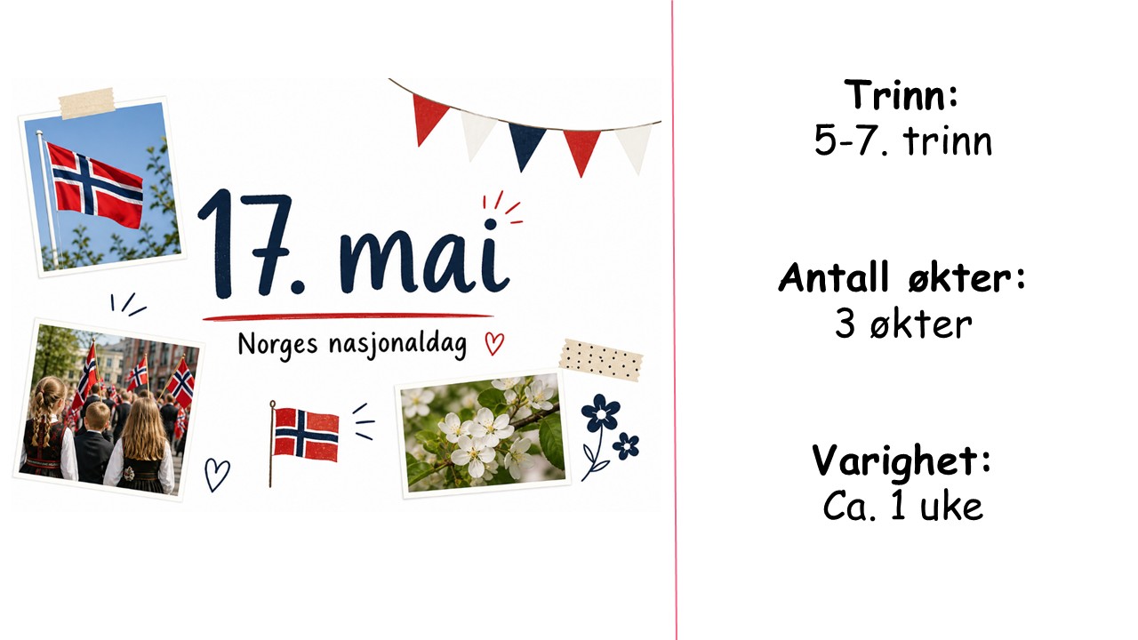 17. mai